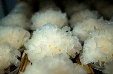 如何种植银耳发芽，如何种植银耳？
