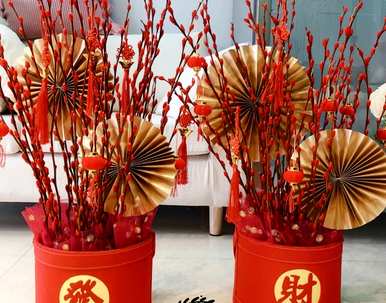 银芽柳怎么养才能开花，银芽柳放在家里风水好吗？