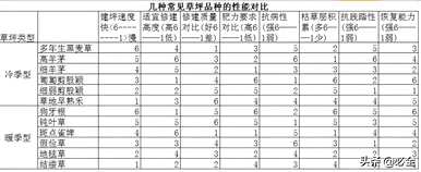 草坪草有哪些品种，草坪草有哪些品种？