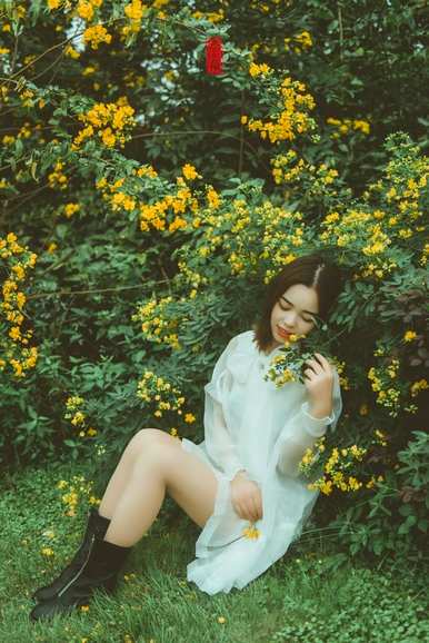 如何维护决明子花开花爆盆？黄花决明子什么时候开花？