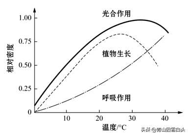 各种植物种子的生长环境和条件，在什么环境下可以生长？