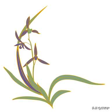 建兰容易养吗？建兰什么时候开花？