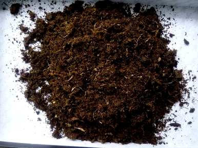 法师喜欢酸性土壤吗？什么土壤适合种植肉质？