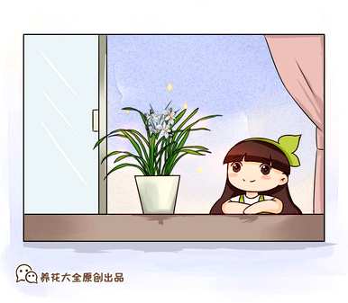 如何养兰花爆盆？休闲院养兰花爆盆视频