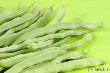 什么时候种四季豆，冬天能种四季豆吗？