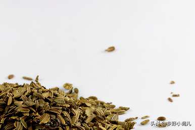 胡萝卜高产需要什么肥料？如何管理胡萝卜高产？
