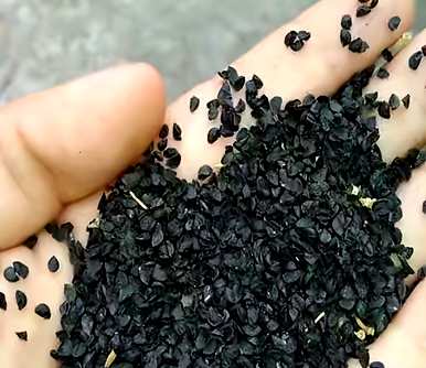 怎样种小葱出得好又快，怎样种小葱长得好？