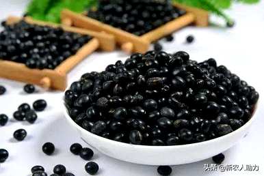第二年黑豆还能种吗？黑豆什么时候种得最好？