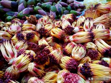 攀枝花最近开了什么花，攀枝花现在开了什么花？