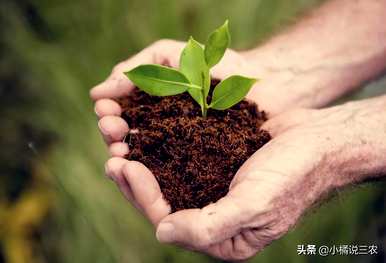人们应该如何保护土壤，土壤保护包括什么？