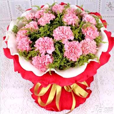 康乃馨花语和寓意，康乃馨花语和寓意