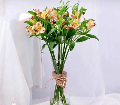 什么是水百合花语，什么是水百合花语？