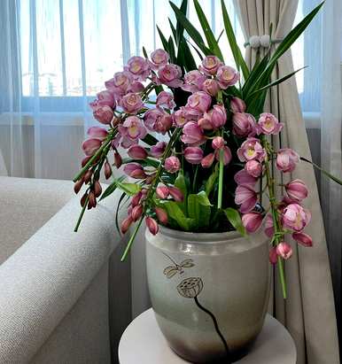 大花惠兰家庭如何开花？