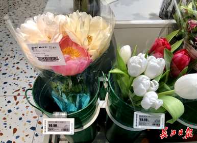 如何让牡丹开花，牡丹几个月开花？