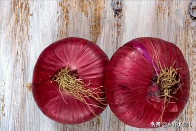 如何种植洋葱种子，什么种子是最好的