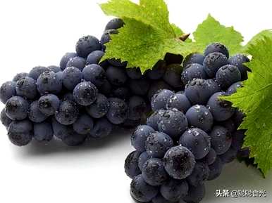 葡萄酒保质期过后还能喝吗？葡萄的品种是什么？