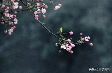 春天常见的花有哪些，春天最常见的花有哪些？