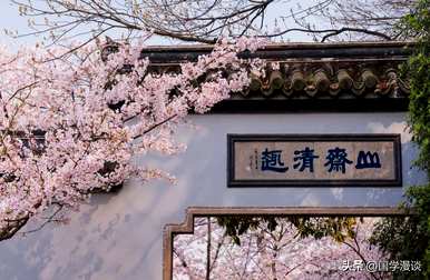 春天常见的花有哪些，春天最常见的花有哪些？