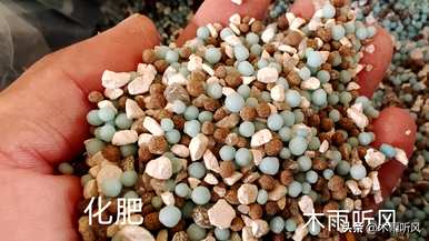 种大蒜用肥料喂韭菜好吗？种韭菜用什么肥料长得好？