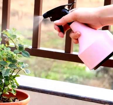 温室蔬菜喜水不怕涝，喜水不怕涝的植物有哪些？