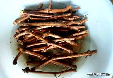 日本葡萄棚栽培技术视频，阳台盆栽葡萄苗如何种植视频