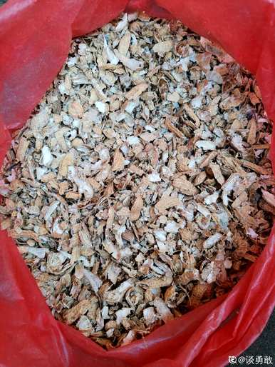 兰花爆盆不开花的原因是什么？兰花分盆能开多久？