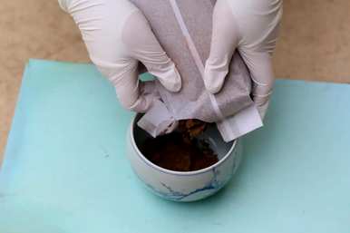 碗莲什么时候开花，碗莲只长茎不开叶