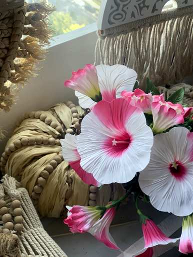 牵牛花的花语是什么，牵牛花的花语和功能？