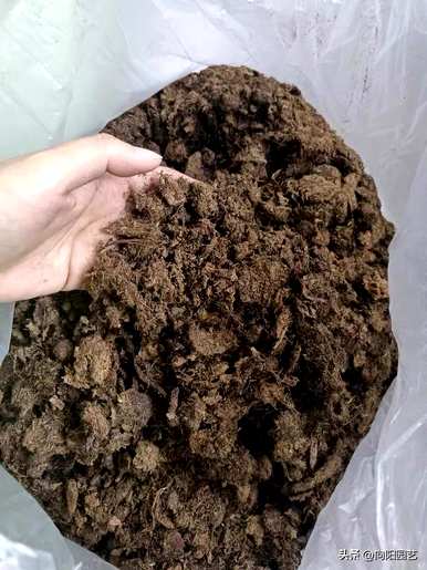 养多肉最好用什么土？养多肉要加珍珠岩吗？
