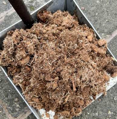 养多肉最好用什么土？养多肉要加珍珠岩吗？