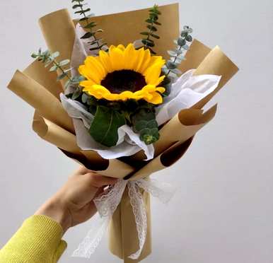 向日葵的花语是什么，向日葵的花语是什么？图片