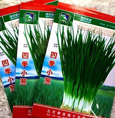 什么时候种小葱，什么时候种小葱