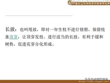 梨树如何修剪枝条？