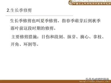 梨树如何修剪枝条？