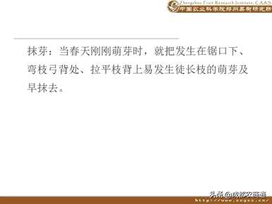 梨树如何修剪枝条？