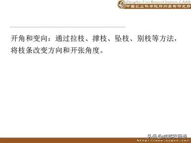 梨树如何修剪枝条？