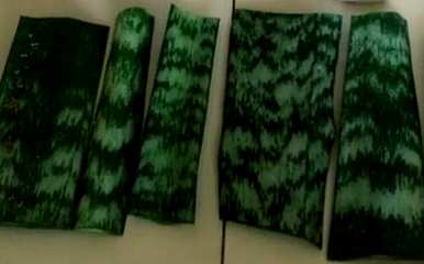 虎皮兰多久开一次花，虎皮兰多久开一次花？