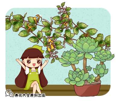 如何养好花，如何养好花？