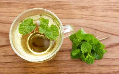 什么是适合室内栽培的绿色植物，什么是适合室内栽培的大绿色植物