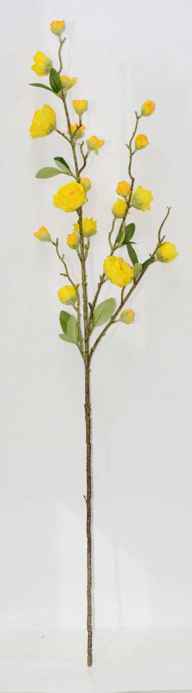 桃花语是什么意思，桃花语是什么意思？