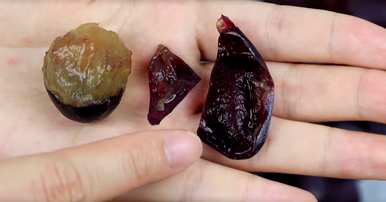 提子和葡萄是同一品种吗？