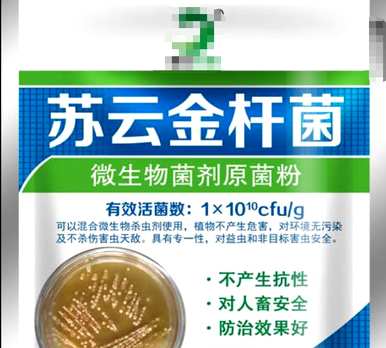 花盆里的小黑飞虫怎么消灭，花盆里的小黑飞虫怎么用什么药？