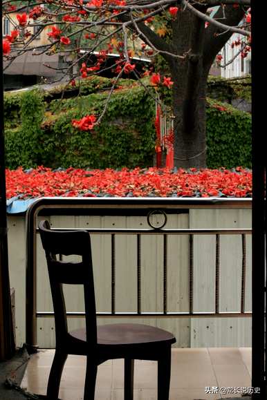 什么时候定木棉为广州市花，广州市花叫什么？