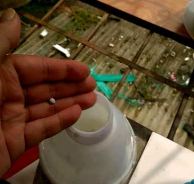 水养绿萝用什么水长得更茂盛，水养绿萝长得又绿又快浇什么？