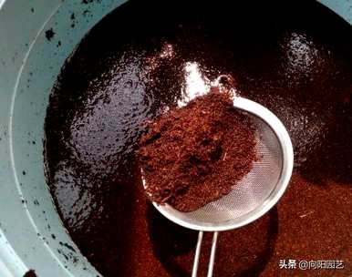 红掌花浇水的正确方法，红掌如何浇水的正确方法