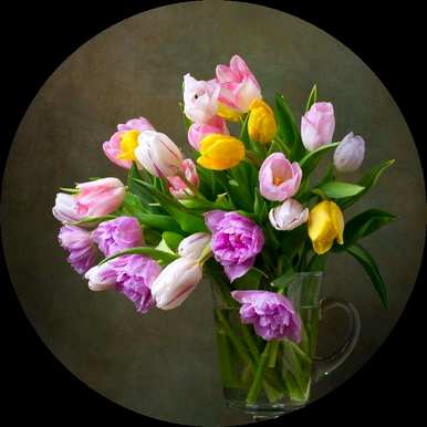 绣球花的花语是什么意思？绣球花的花语是什么意思？