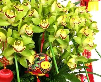 花语是什么，花语是什么意思？