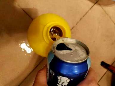 长寿花可以倒啤酒，长寿花可以倒啤酒