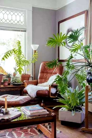 家里玄关放绿植好吗？家里放什么绿植最好？