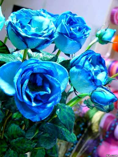 8朵蓝玫瑰的花语，蓝玫瑰的花语是什么？